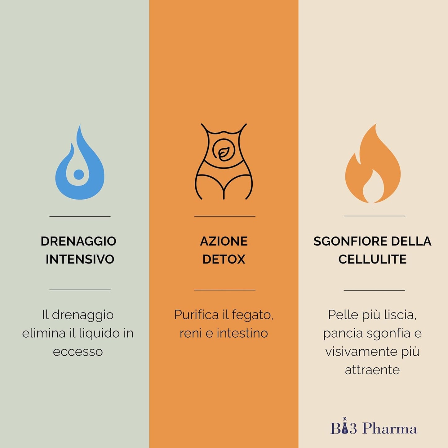 Edren Drenante Detox Fegato e Intestino